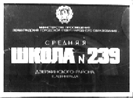 239