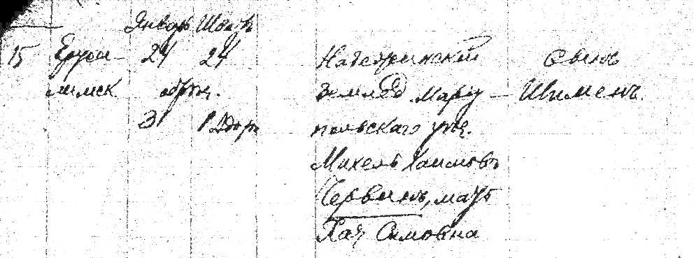 Birth Record