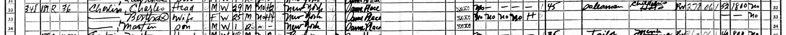 Census Form