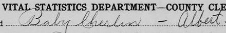 Birth Record