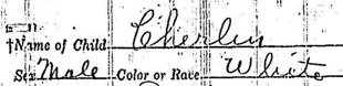 Birth Record